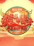 龙腾楚天，喜迎新春！《2024湖北春晚》：地域特色与时代潮流的完美融合